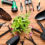 Ferramentas Práticas para Ter em Casa e Facilitar a Jardinagem
