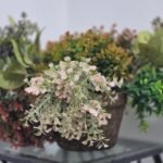 Arranjo de Orquídeas Artificiais